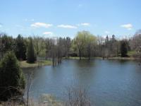 Morriston-pics4.jpg